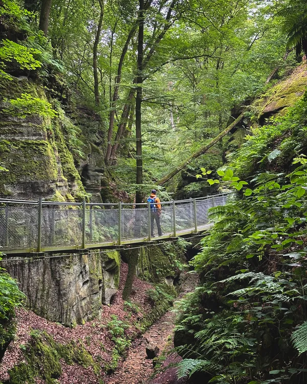 Natuurfoto hangbrug Mullerthal