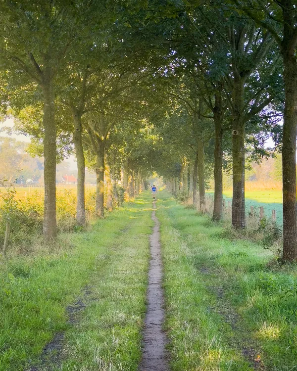 Natuurfoto ochtendwandeling Brugge