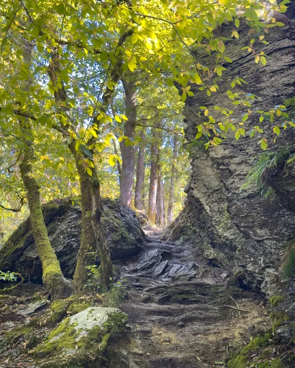 Natuurfoto wandelpad rotsformaties