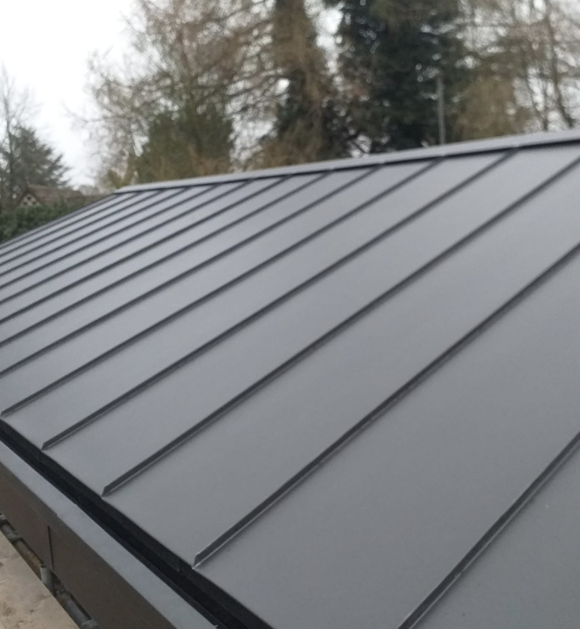 Close-up of a modern, dark gray metal standing seam roof with trees in the background.