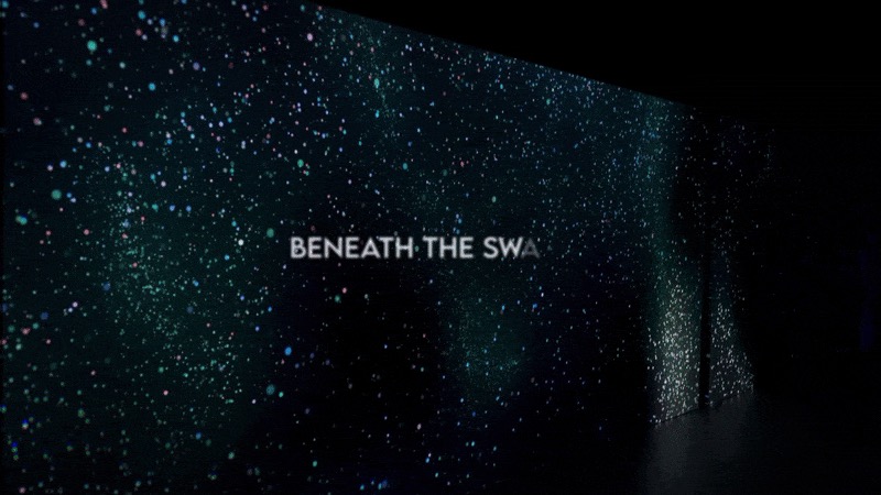 Beneath the Swarm: An Immersive Underwater Meditation
