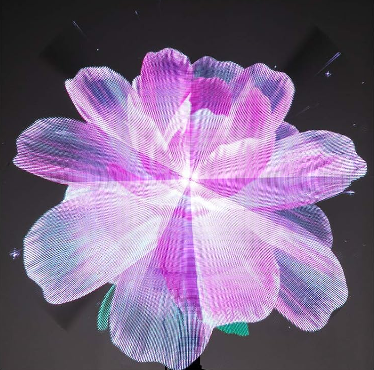 Holographic fan with floating product visual