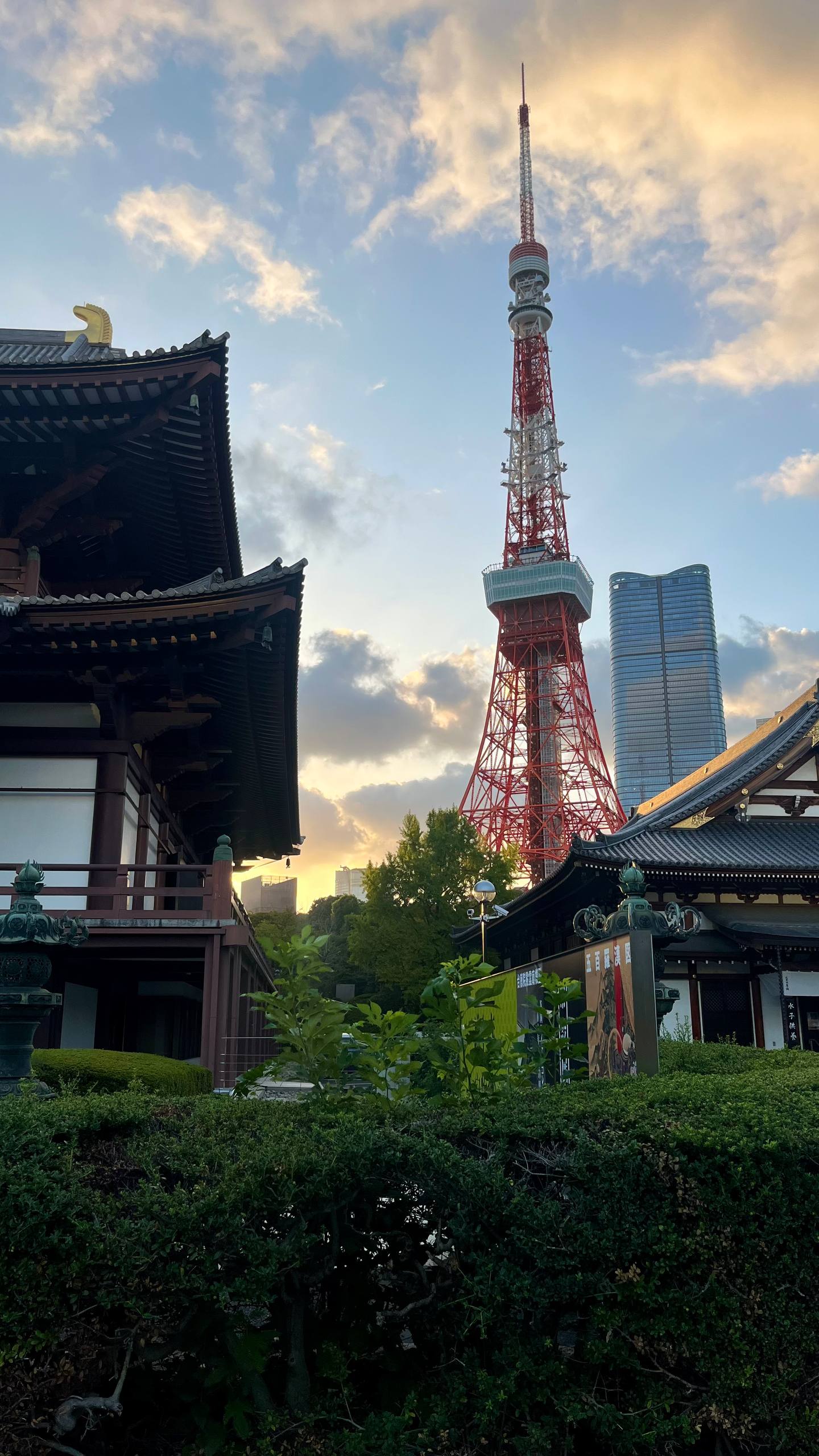 [background image] image of city view from client's area (for a plumbing service)