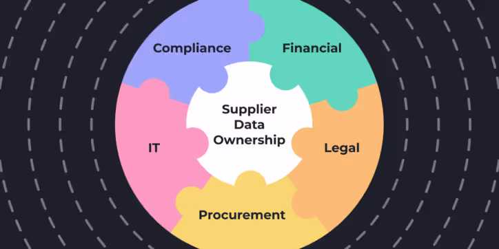 Who Owns Supplier Data? Why Governance Is a Team Sport