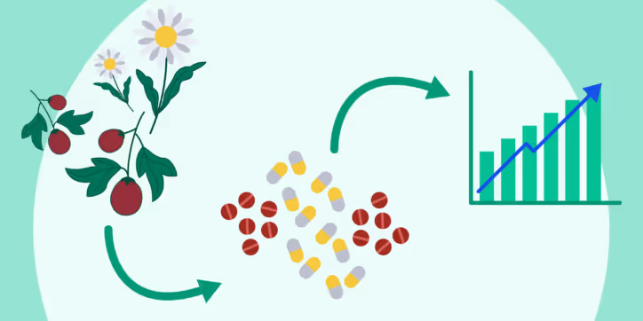 From Sourcing to Saving: Building a Strong Nutraceutical Procurement Strategy