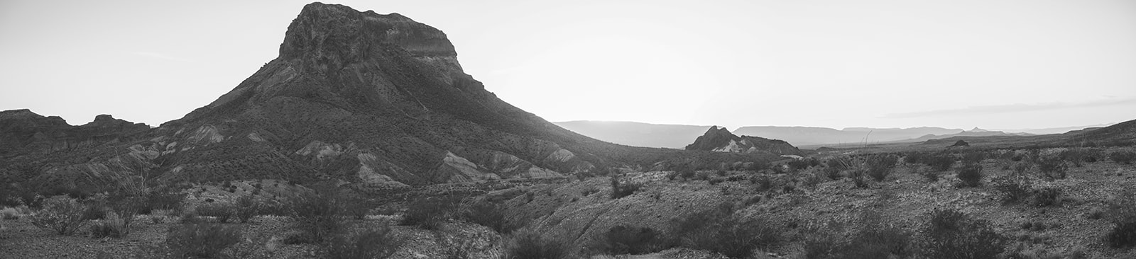 a black and white photo of a desert landscape