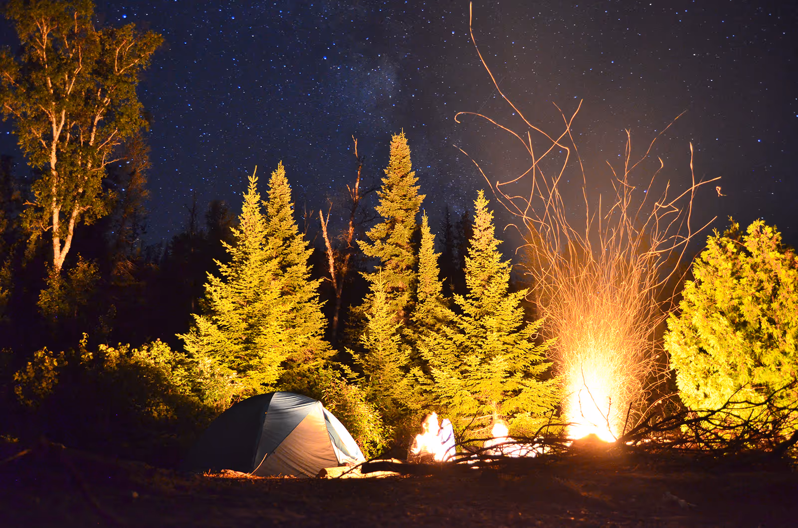 Night camping scene with tent near a bright campfire and pine trees under a starry sky.