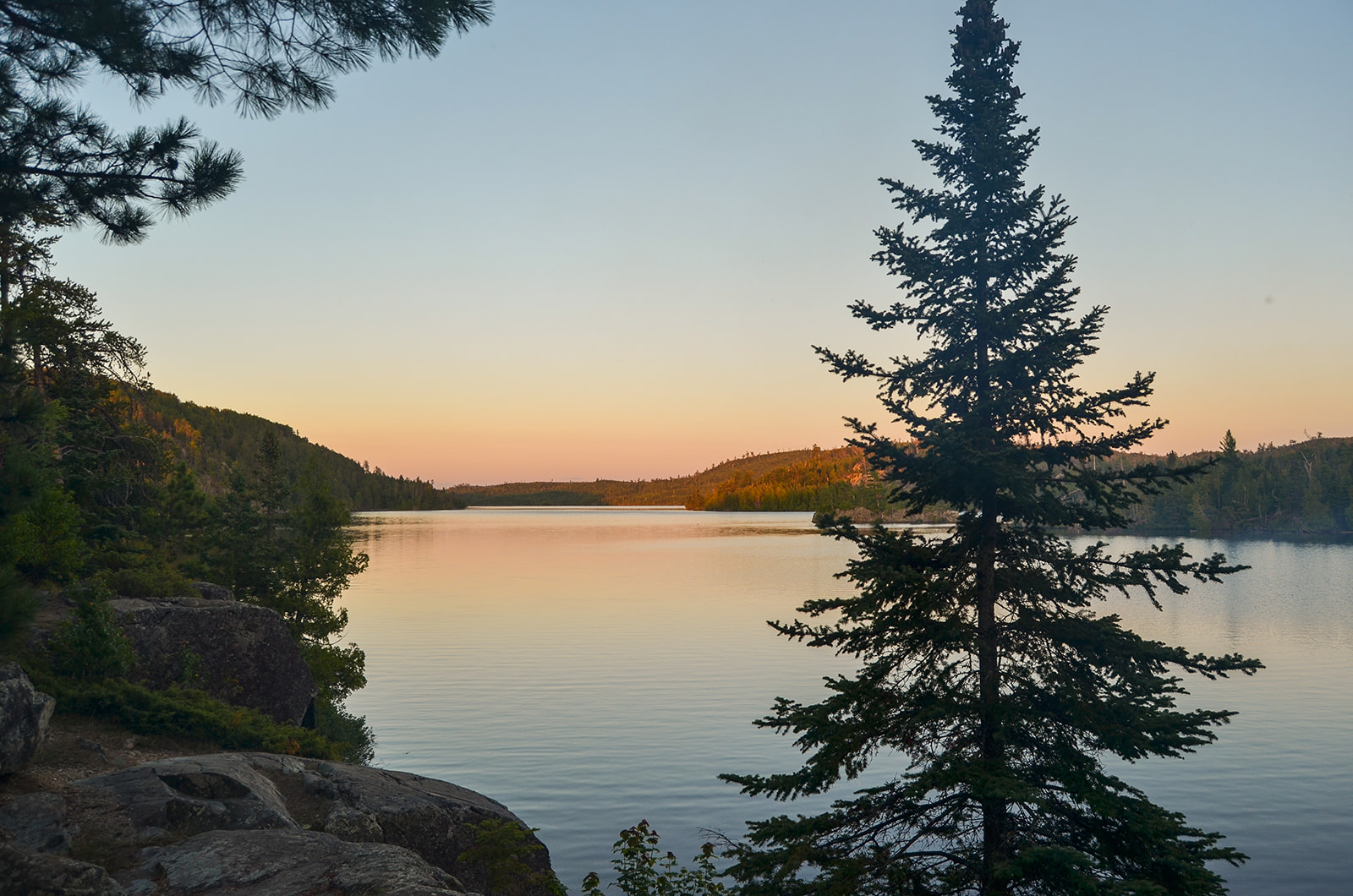 Calm lake at sunset surrounded by forested hills and rocky shore with a tall pine tree in the foreground.