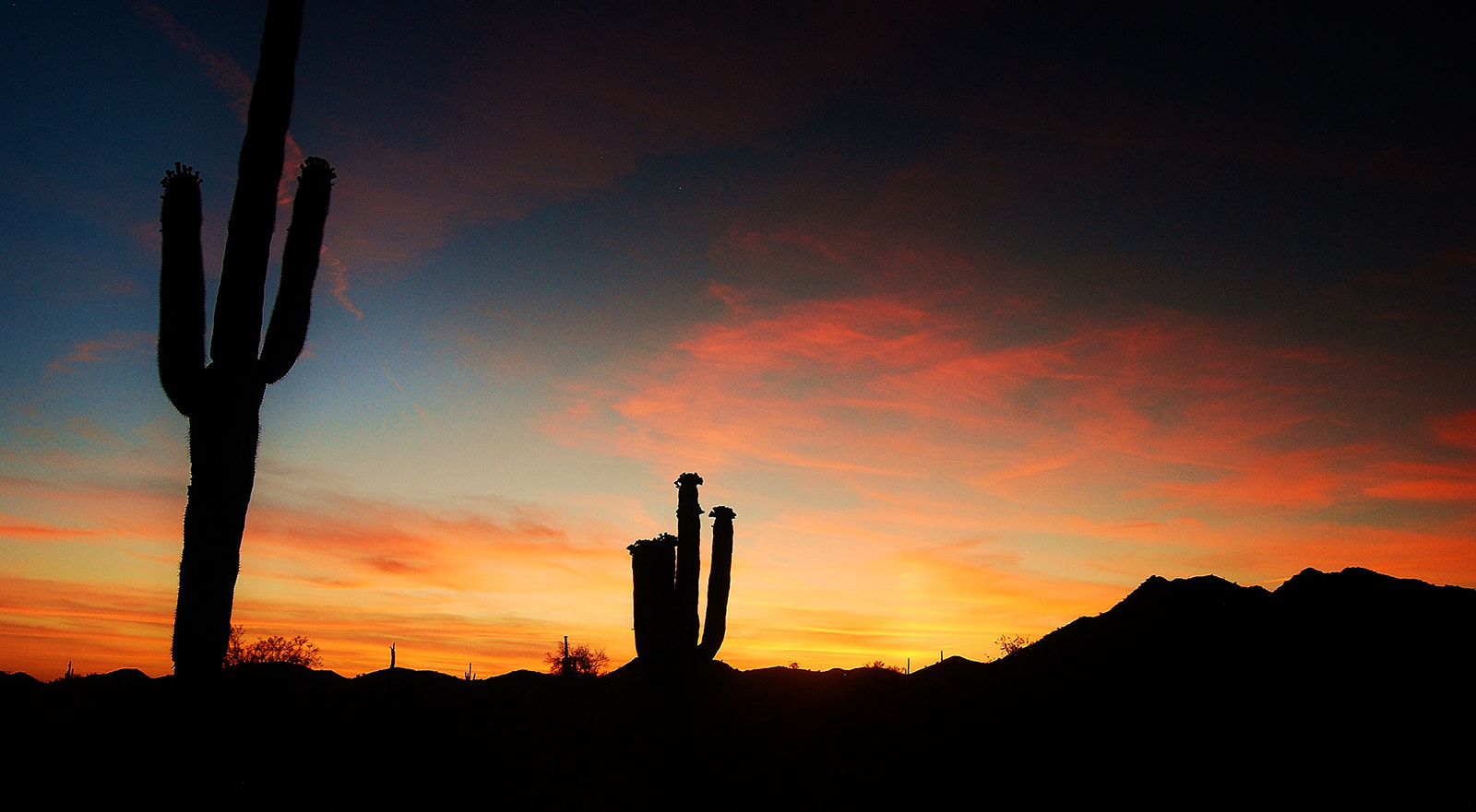 Silhouetted cacti and mountains against a colorful sunset sky with orange, pink, and blue hues.