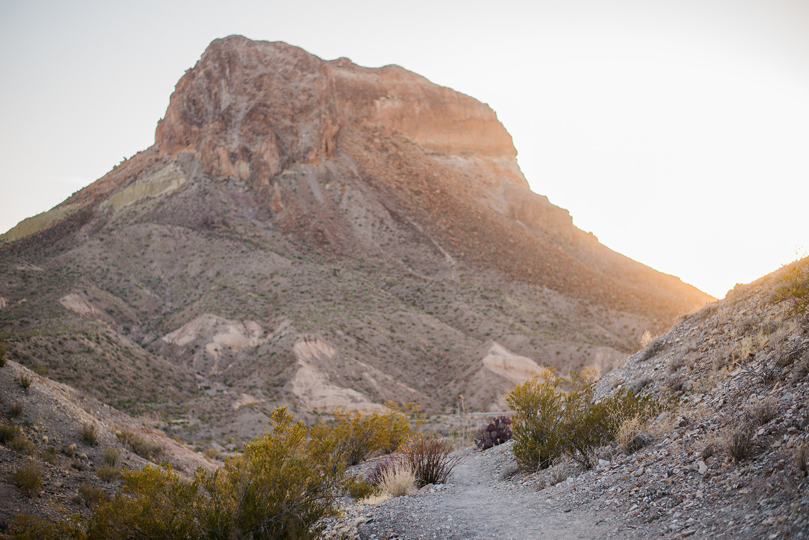 A rocky desert trail winding towards a large sunlit mountain with sparse vegetation.
