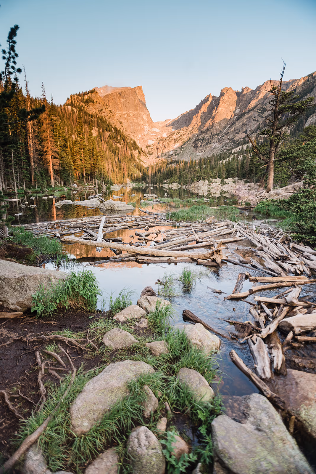 Mountain lake with clear water reflecting rocky peaks, surrounded by pine trees and a beaver dam made of logs in the foreground.
