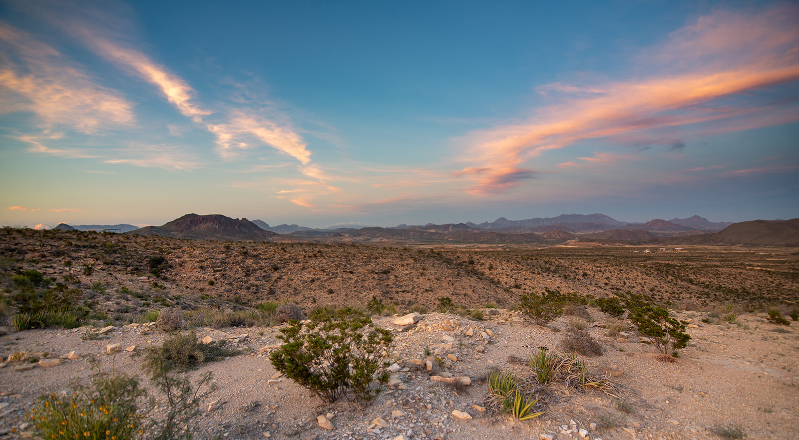 Arid desert landscape with sparse vegetation, rocky terrain, and mountains under a blue sky with pink clouds at sunset.