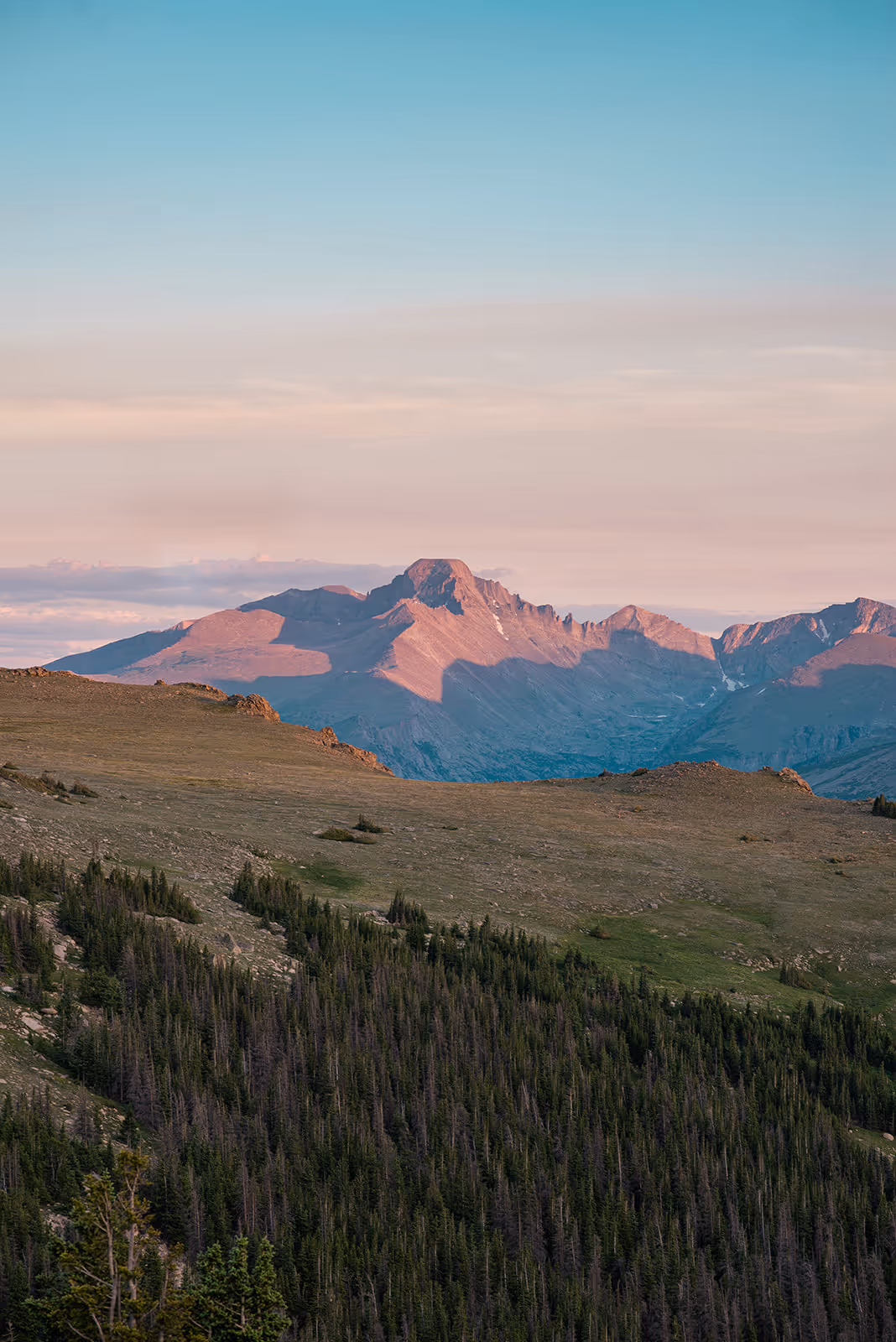 Mountain range bathed in soft sunset light with green forest in foreground and clear blue sky above.
