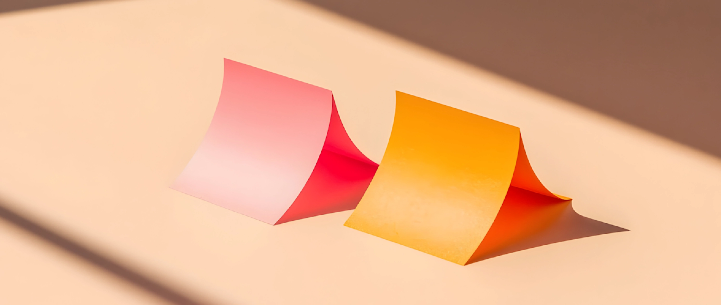 Portfolio Details Bottom Image