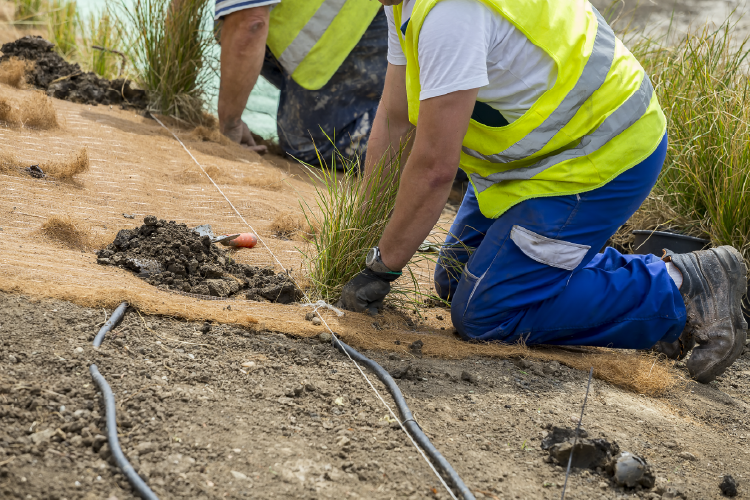 Irrigation Line Repair