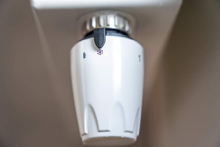 Tankless Water Heater Services