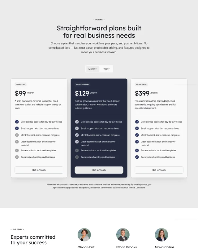 Pricing plans for Essential at $99/month, Professional at $129/month, and Enterprise at $399/month detailing features like core service, email support, monthly check-ins, documentation, access to tools, and secure data handling.