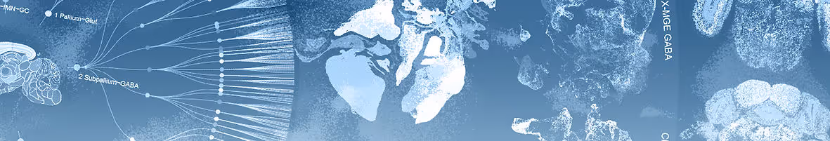 Abstract blue horizontal banner with light streaks and digital-style patterns.