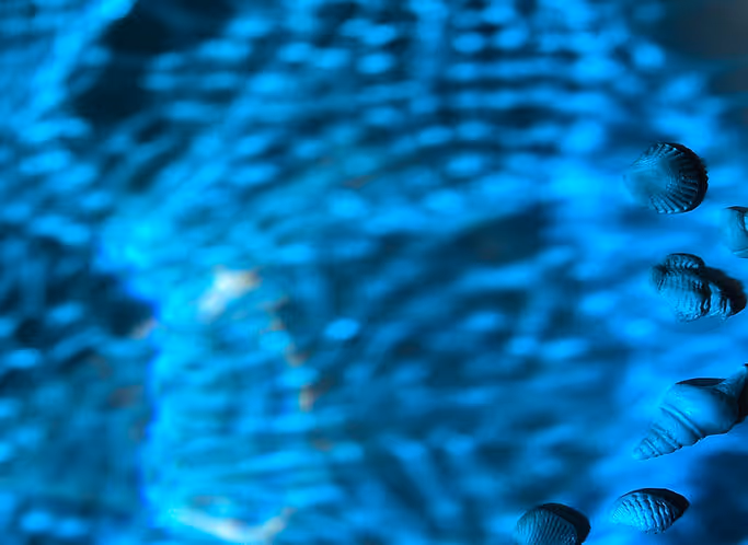 Abstract blue water or liquid pattern.