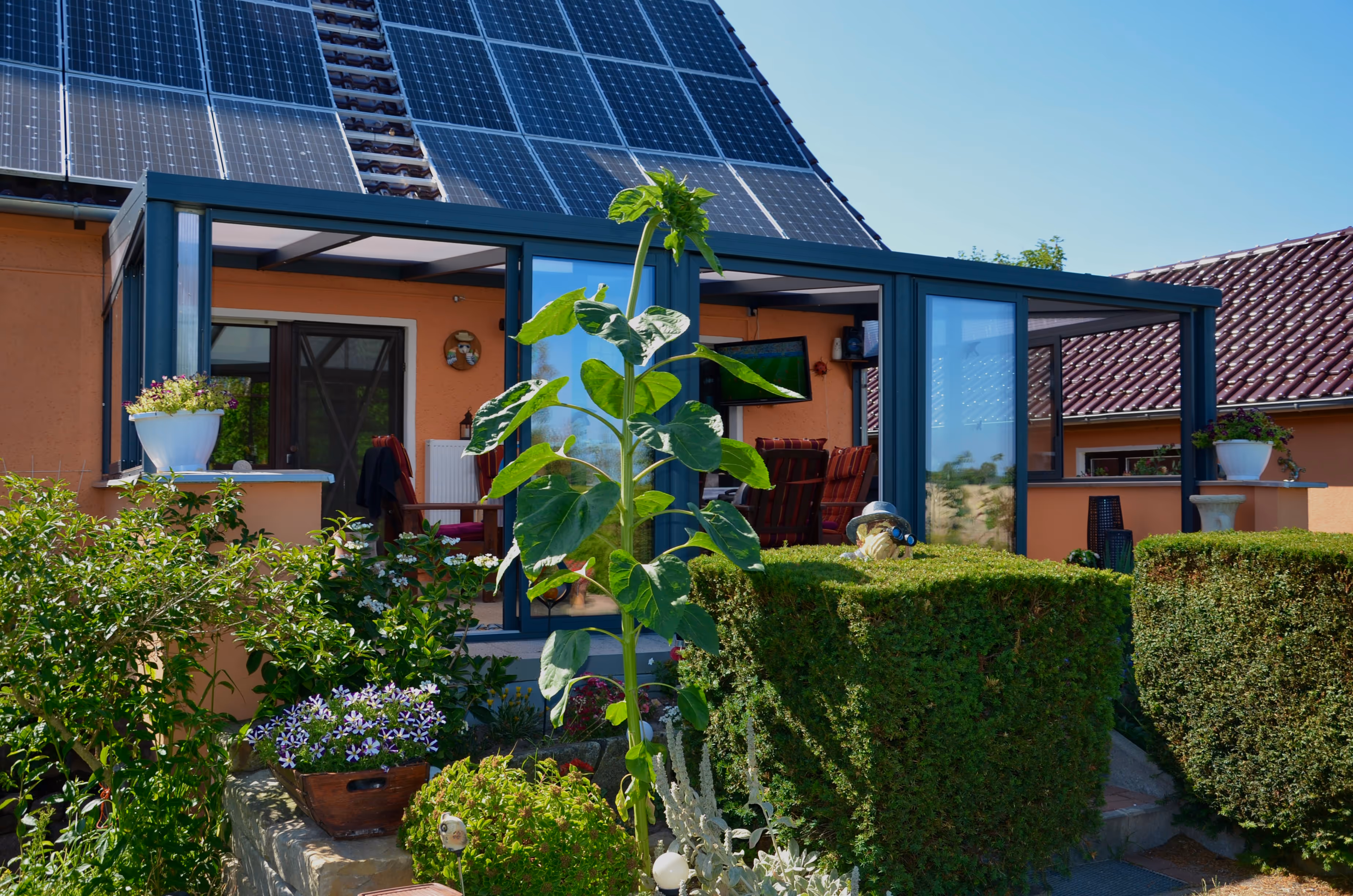 Garten mit hohen Sonnenblumen und blühenden Pflanzen vor einem Haus mit orangener Fassade, Wintergarten und Solarpaneelen auf dem Dach.