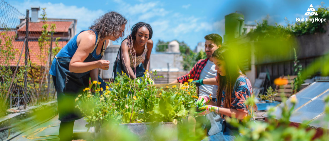 People working together in a community garden, collaborating on planting and tending to garden beds.