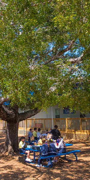 Students in school uniforms sit at blue picnic tables under a tree near a school building.