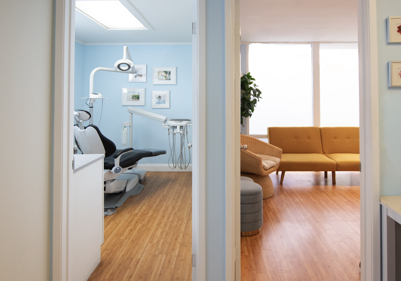 Blue Turtle Dental Redwood City office