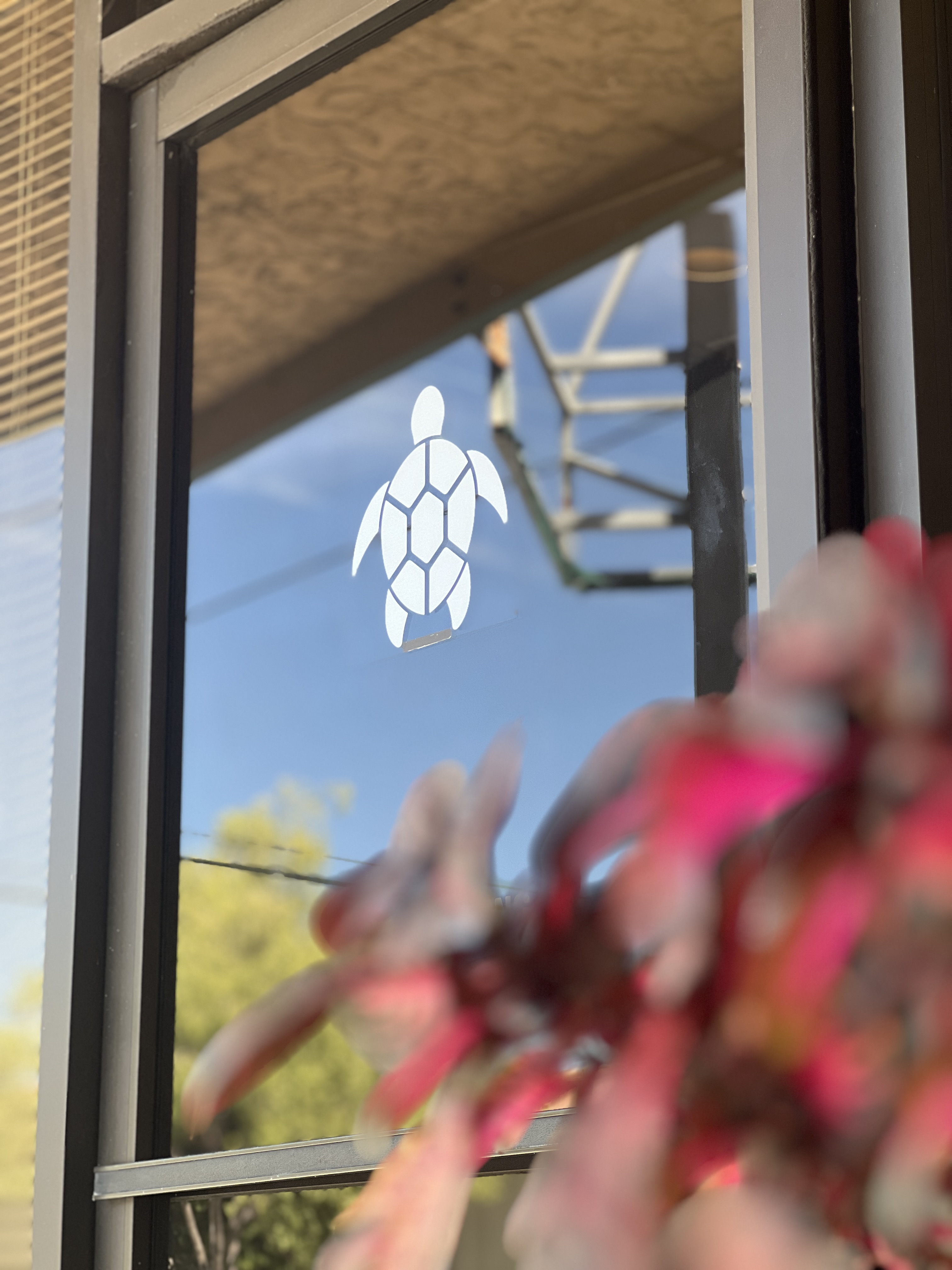 Blue Turtle Dental Redwood City office