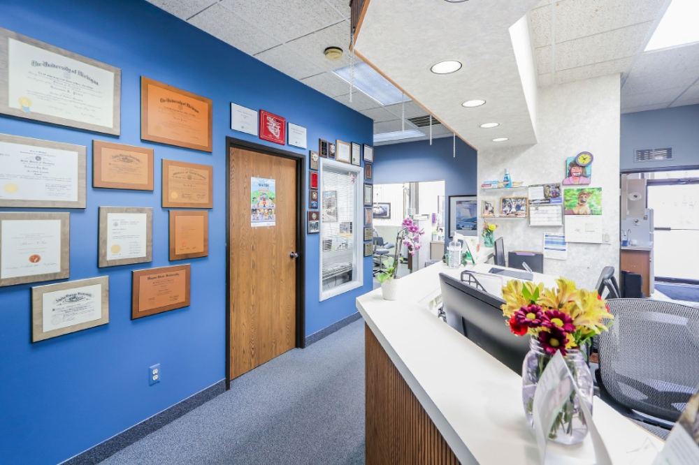 A tidy office reception with a blue wall featuring framed certificates and awards.