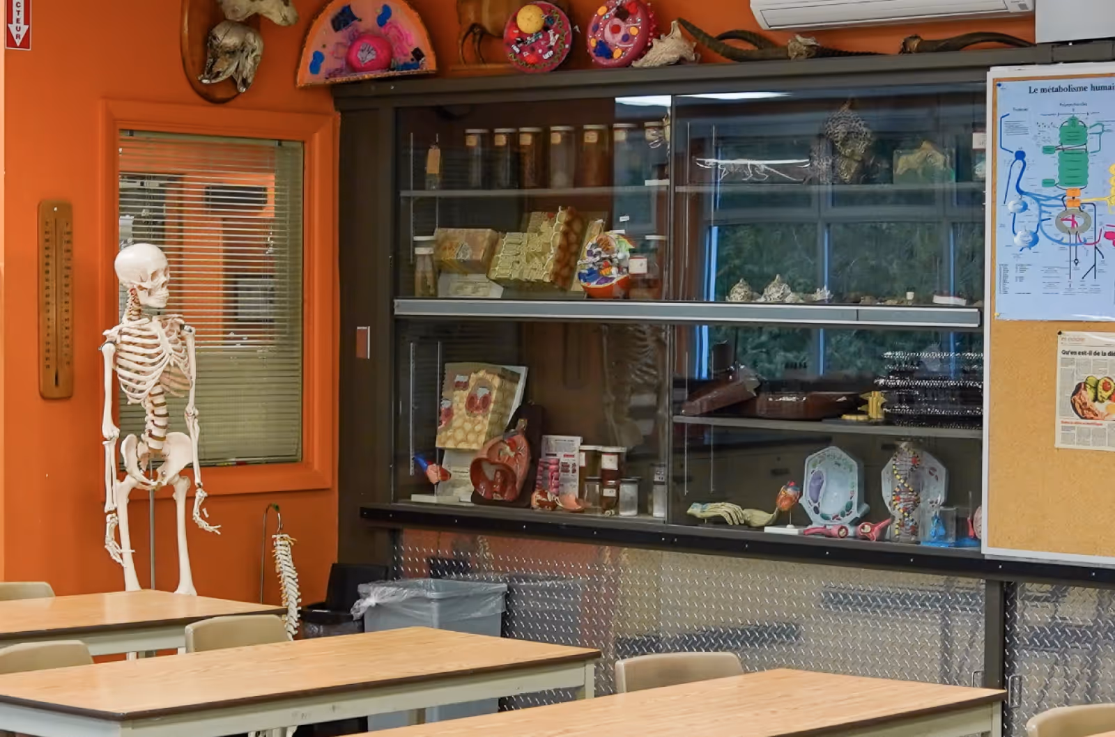 Laboratoires  de Sciences