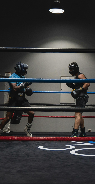 Boxing in Bloomfield Township, MI