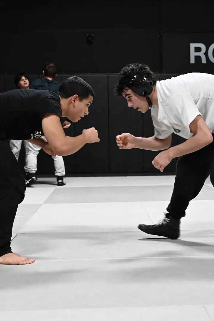 Wrestling