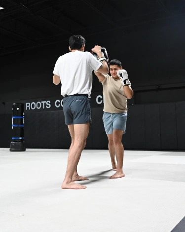 Kickboxing in Bloomfield Township, MI