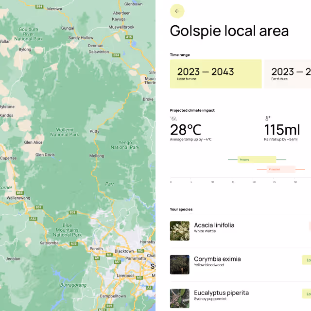 Climate projection map for Golspie local area showing time range 2023-2043 with average temperature increase of 28°C and rainfall increase of 115ml, alongside images and names of local plant species Acacia linifolia, Corymbia eximia, and Eucalyptus piperita.