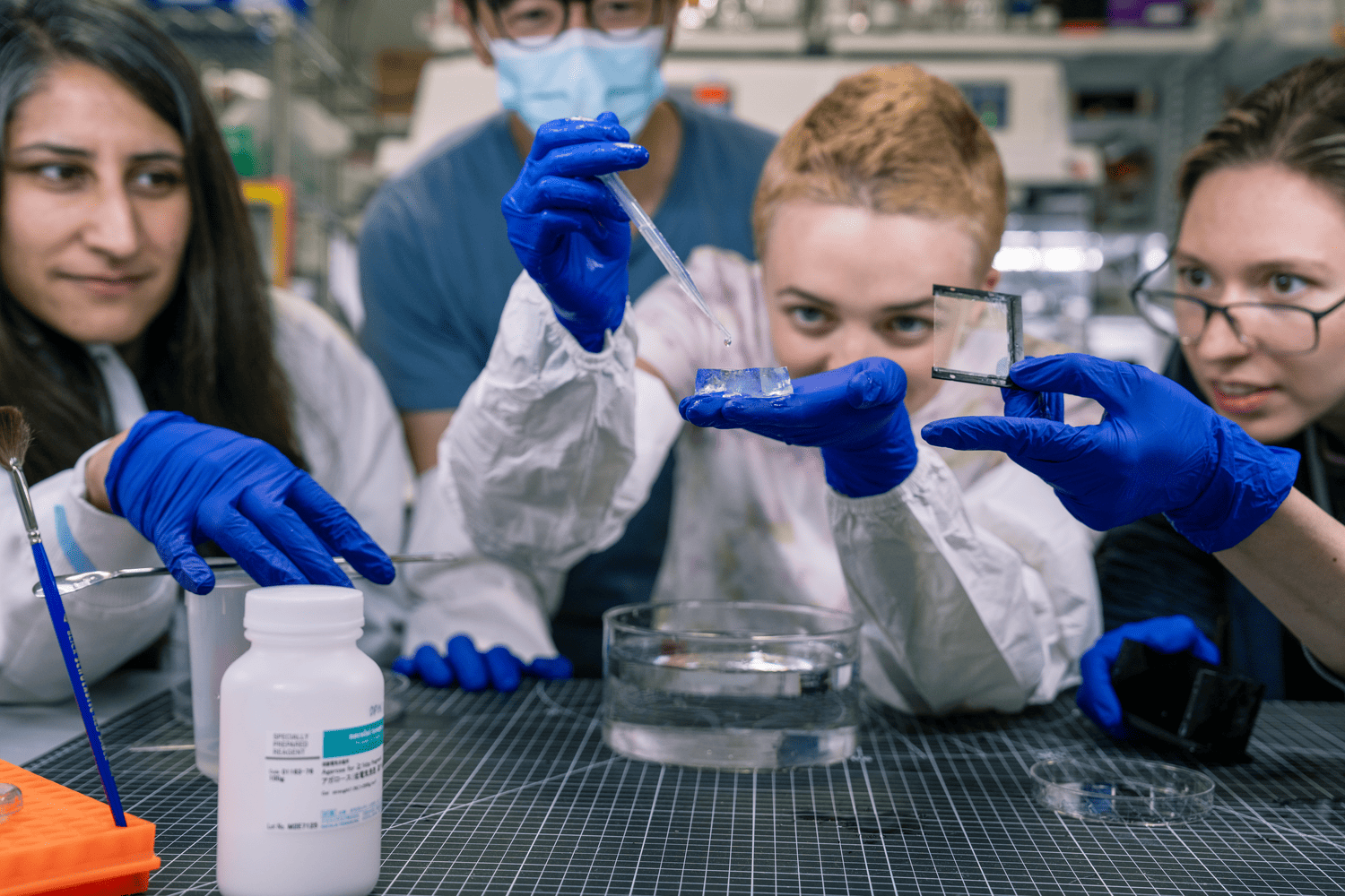 Four individuals in lab coats and blue gloves conducting an experiment in a laboratory setting.