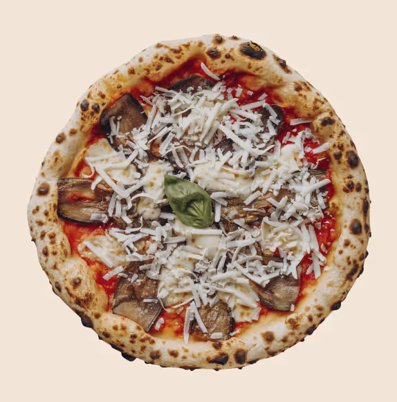 Neapolitan style pizza topped with tomato sauce, melted mozzarella, grated cheese, eggplant slices, and a basil leaf in the center.
