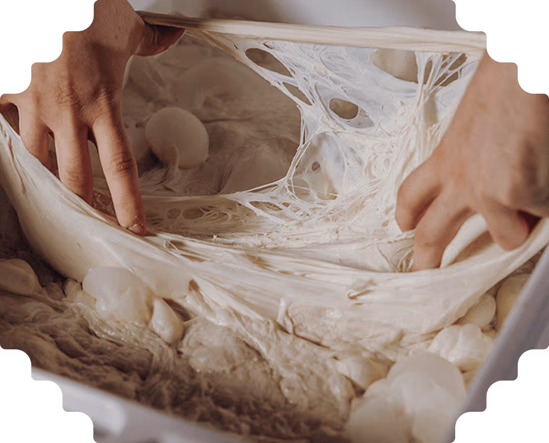 Hands stretching sticky, elastic dough with air bubbles in a container.