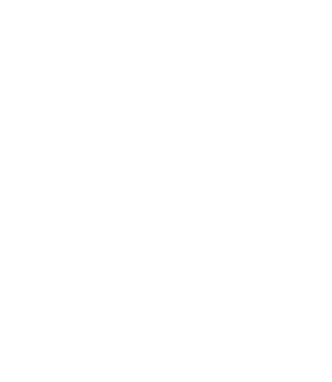 The Air Army Logo