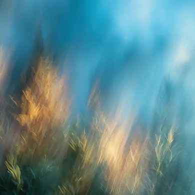 Cursus Vrij in Verbinding