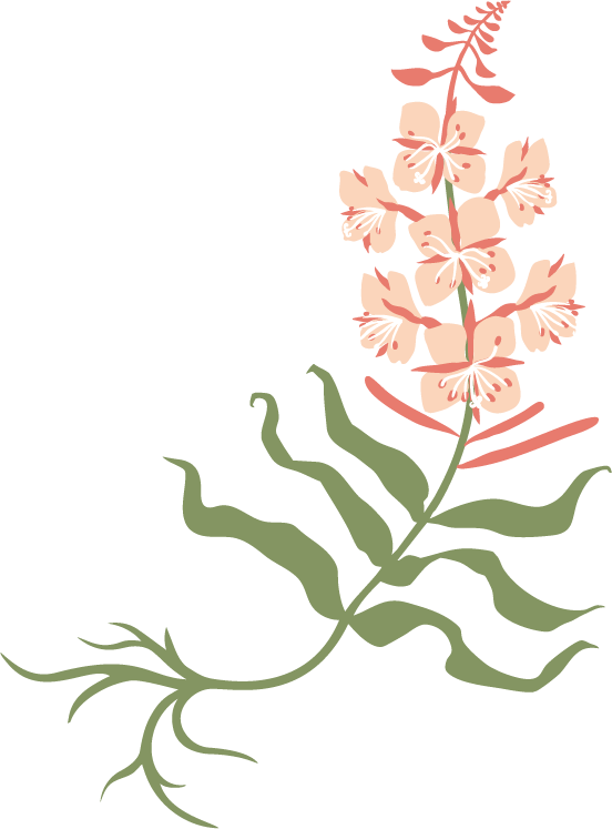 Inclusive and Empowering - Yogi Webflow Template