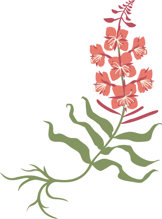 Lasting Impact - Yogi Webflow Template