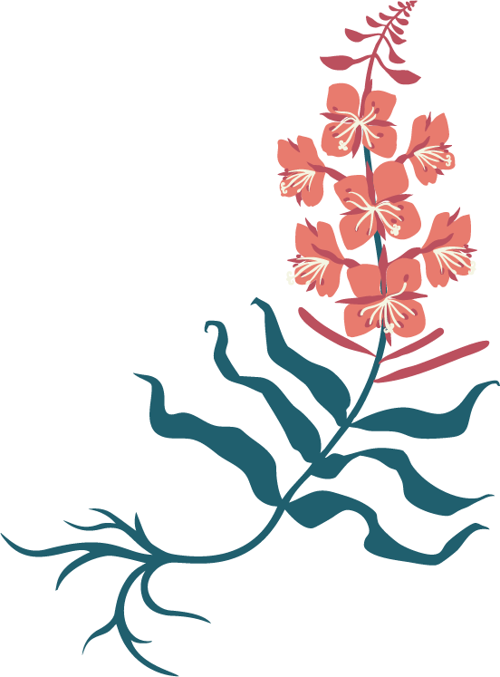 Ongoing Improvement - Yogi Webflow Template