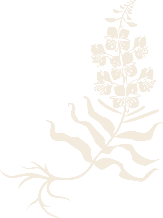 Iyengar Yoga- Yogi Webflow Template