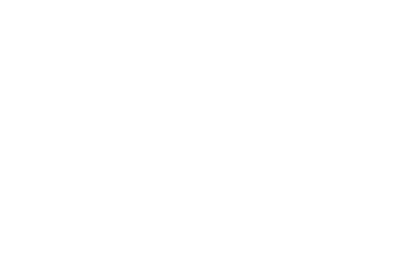 Sae Institute