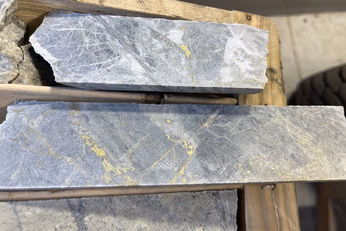 Two rectangular slabs of gray stone with white veining and scattered gold flecks resting on a wooden surface.