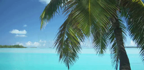 vacances illimitées