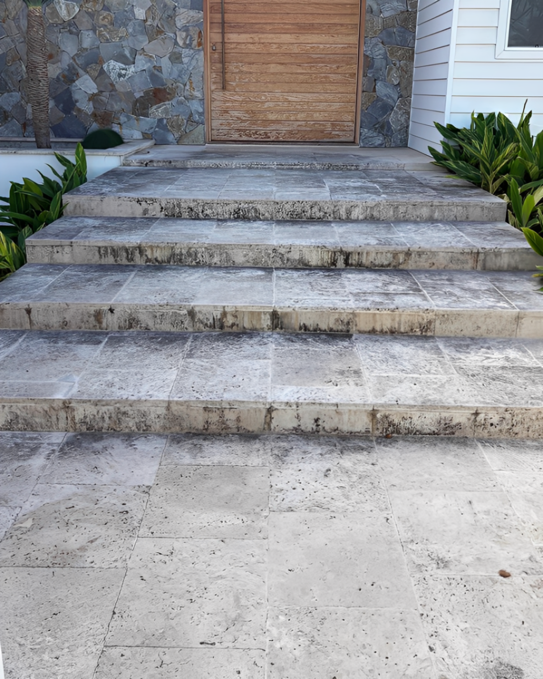 Residential Softwash 1