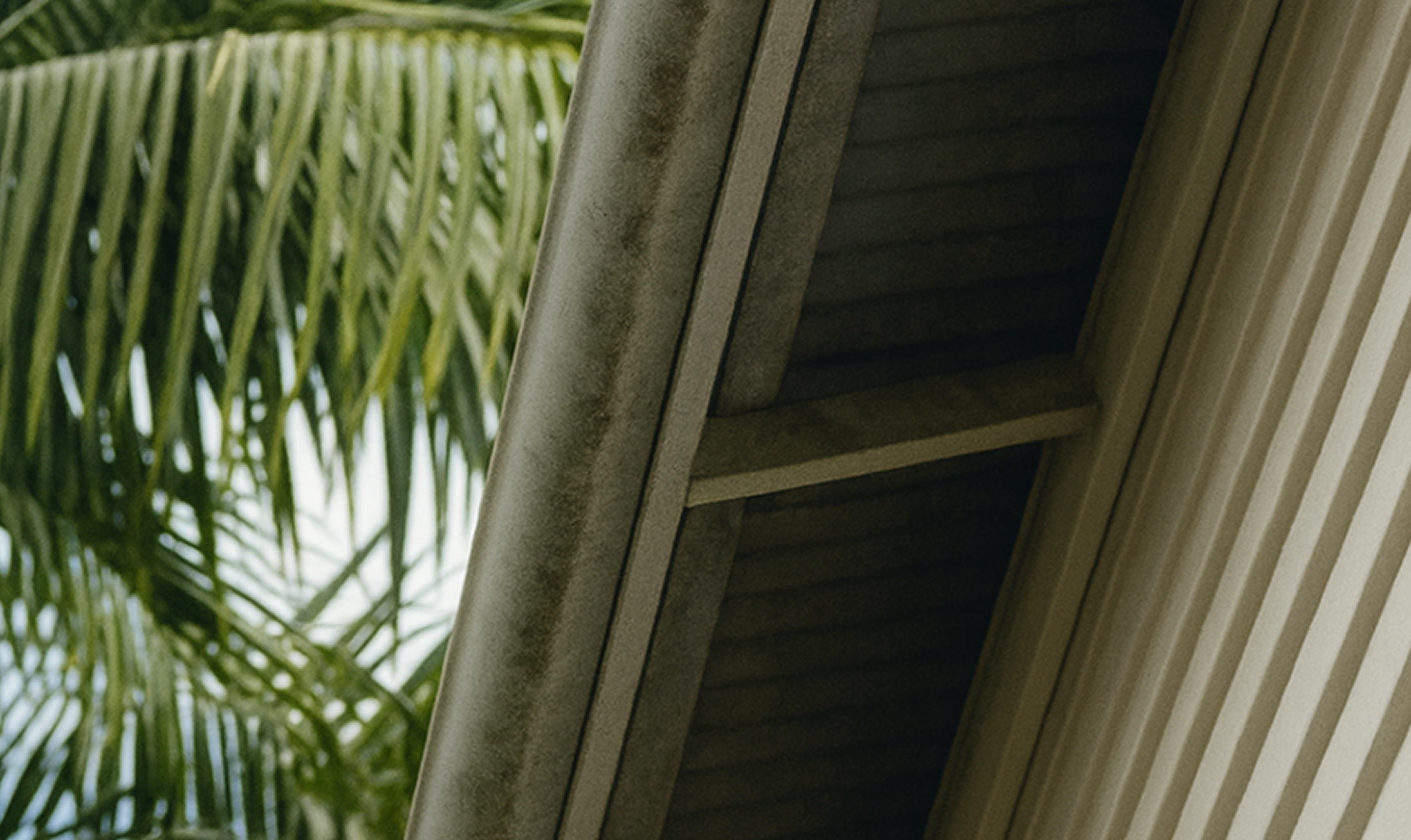 Residential Softwash 2