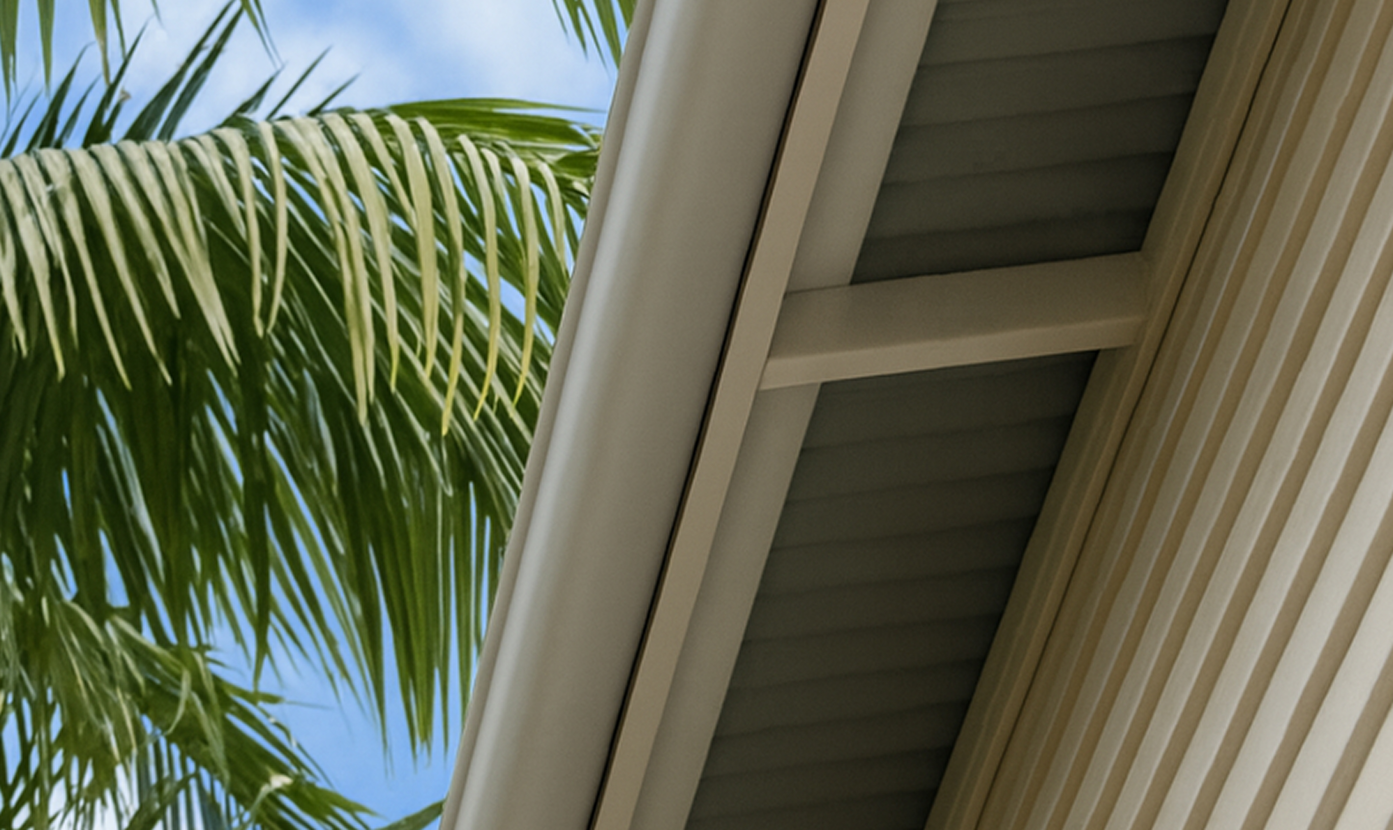 Residential Softwash 2