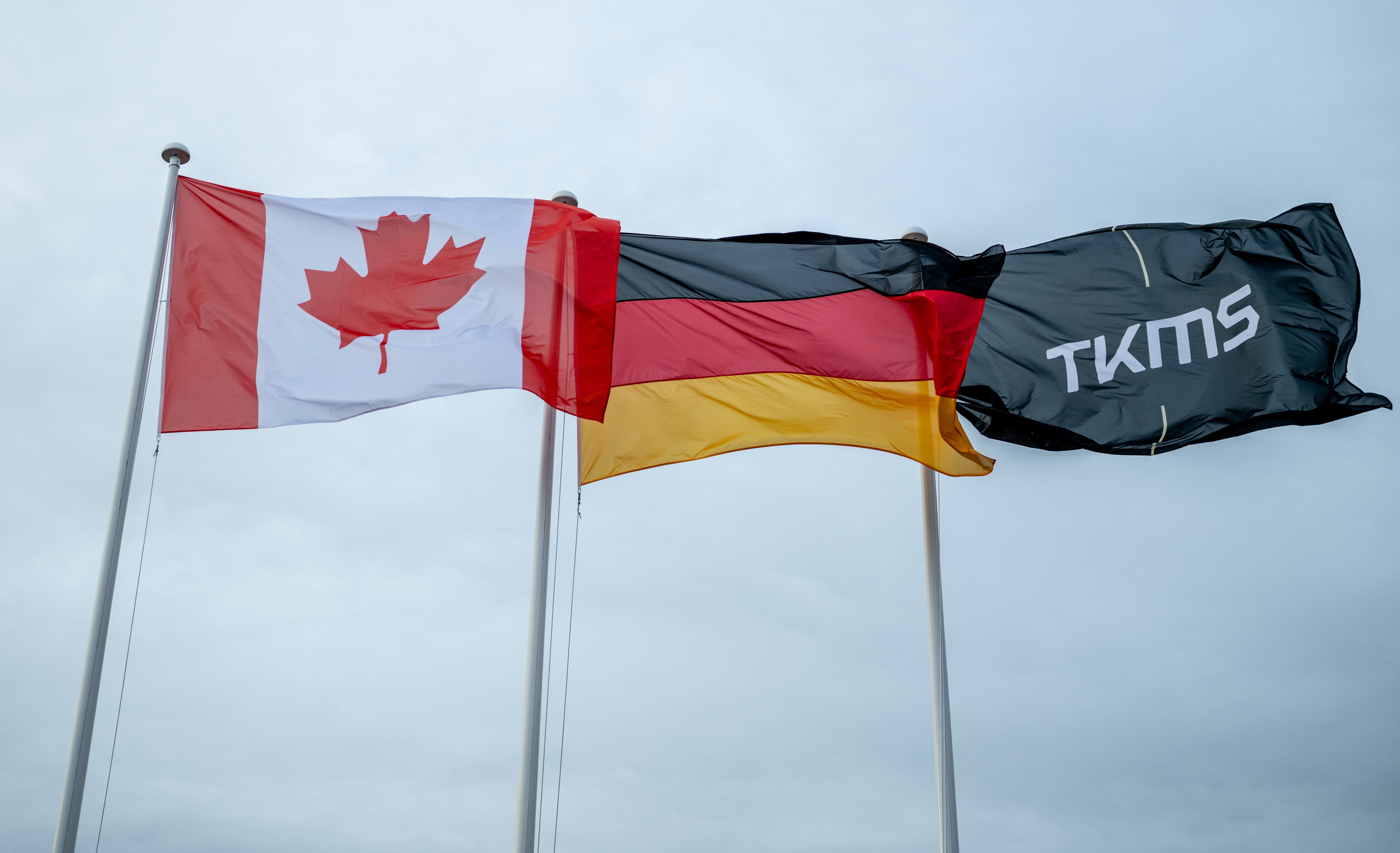 [interface] image of an ai software interface filling the entire background